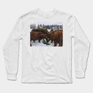 Scottish Highland Cattle Bulls 1916 Long Sleeve T-Shirt